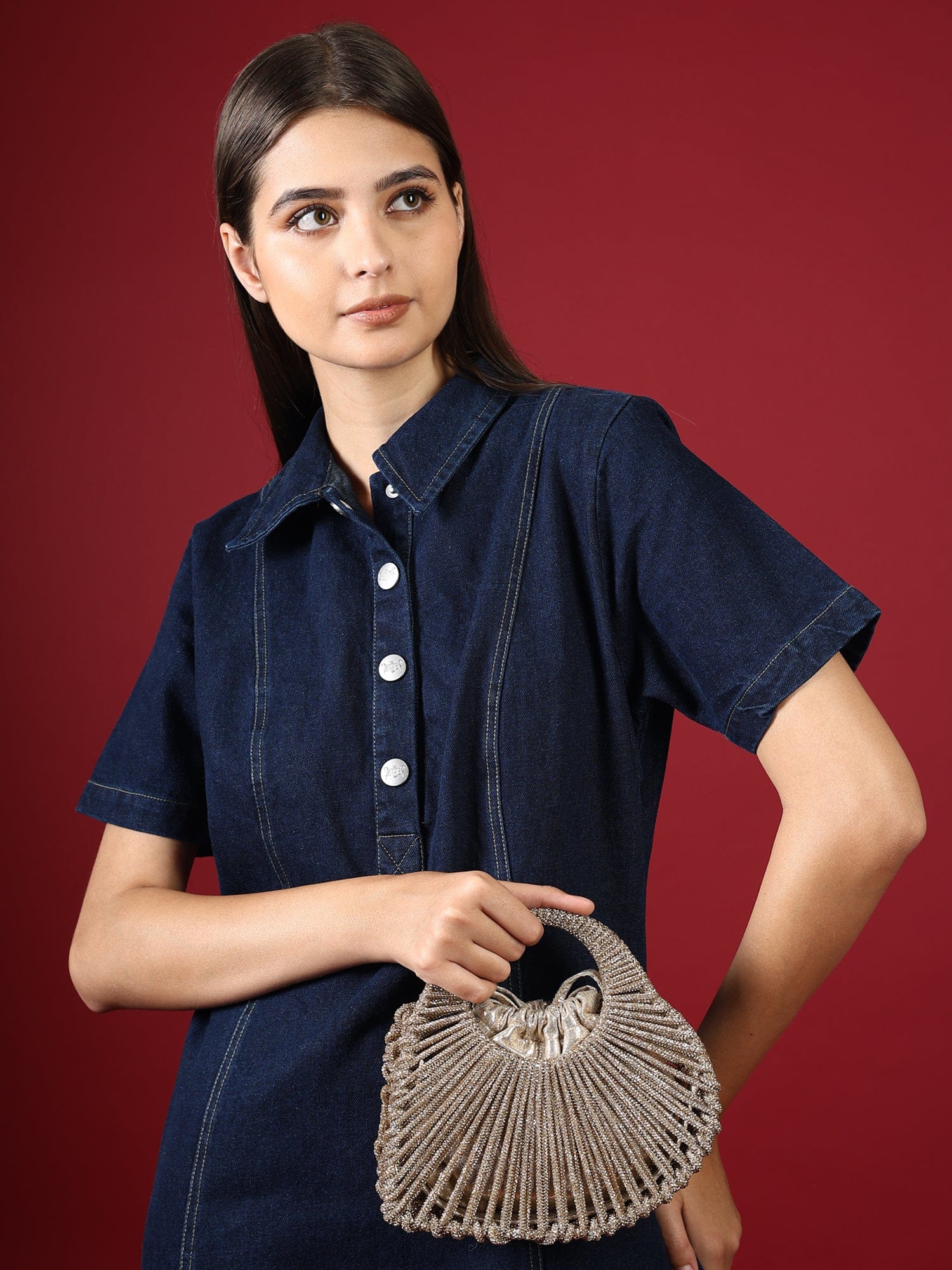 Velin Golden Beaded Bag